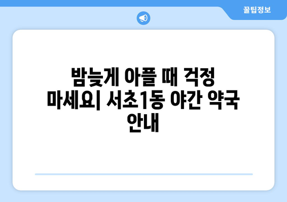 서울시 서초구 서초1동 24시간 토요일 일요일 휴일 공휴일 야간 약국