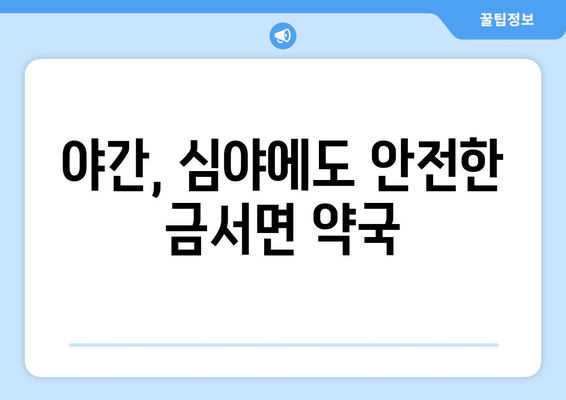 경상남도 산청군 금서면 24시간 토요일 일요일 휴일 공휴일 야간 약국