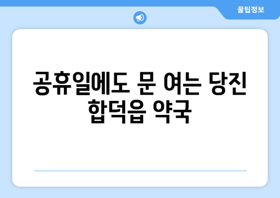 충청남도 당진시 합덕읍 24시간 토요일 일요일 휴일 공휴일 야간 약국