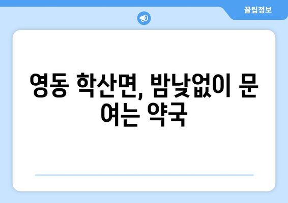 충청북도 영동군 학산면 24시간 토요일 일요일 휴일 공휴일 야간 약국