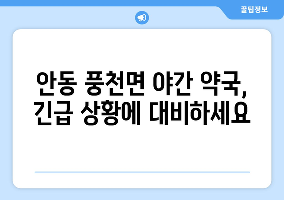 경상북도 안동시 풍천면 24시간 토요일 일요일 휴일 공휴일 야간 약국