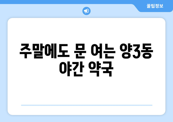 광주시 서구 양3동 24시간 토요일 일요일 휴일 공휴일 야간 약국