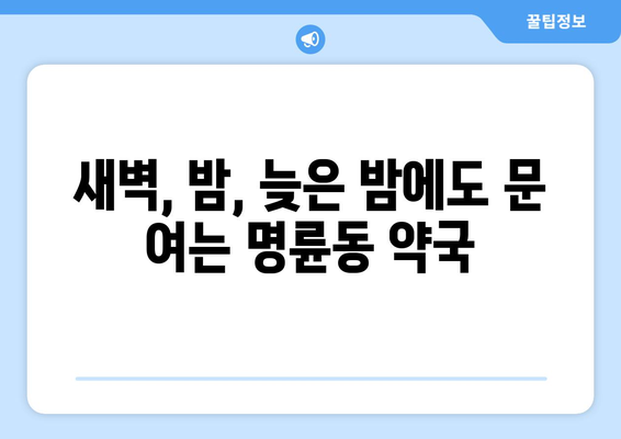 부산시 동래구 명륜동 24시간 토요일 일요일 휴일 공휴일 야간 약국