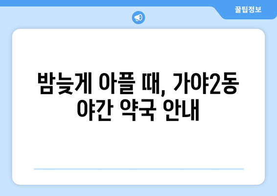 부산시 부산진구 가야2동 24시간 토요일 일요일 휴일 공휴일 야간 약국