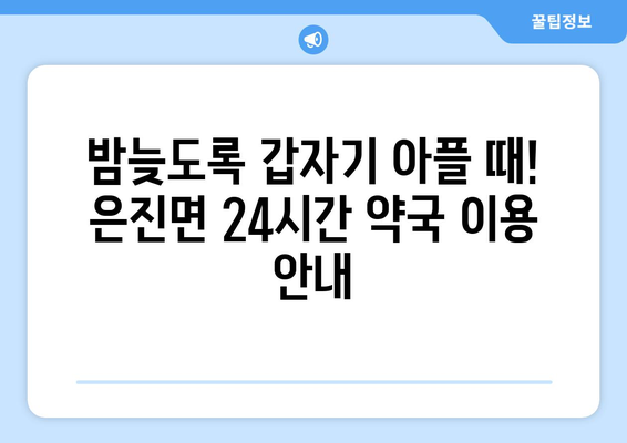 충청남도 논산시 은진면 24시간 토요일 일요일 휴일 공휴일 야간 약국