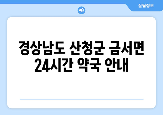 경상남도 산청군 금서면 24시간 토요일 일요일 휴일 공휴일 야간 약국