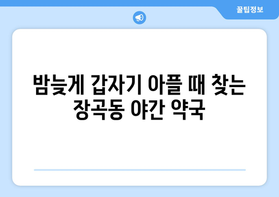 경기도 시흥시 장곡동 24시간 토요일 일요일 휴일 공휴일 야간 약국