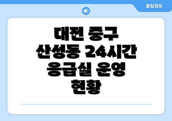 대전 중구 산성동 24시간 응급실 운영 현황