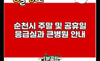 순천시 주말 및 공휴일 응급실과 큰병원 안내