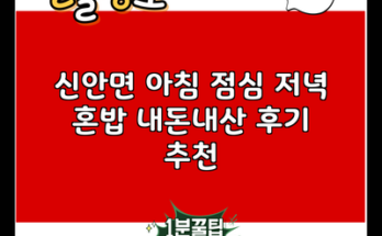 신안면 아침 점심 저녁 혼밥 내돈내산 후기 추천