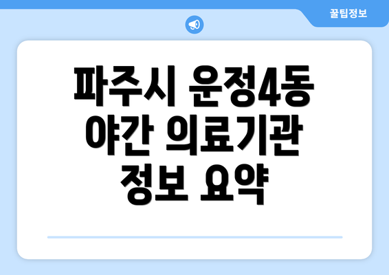 파주시 운정4동 야간 의료기관 정보 요약