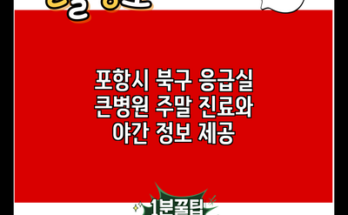 포항시 북구 응급실 큰병원 주말 진료와 야간 정보 제공