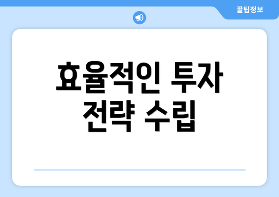 효율적인 투자 전략 수립